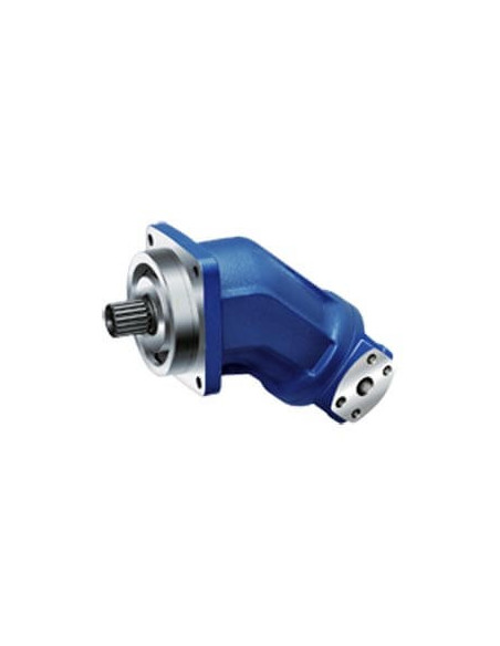 R902099488 A2FM45/61W-VZB010D - Rexroth