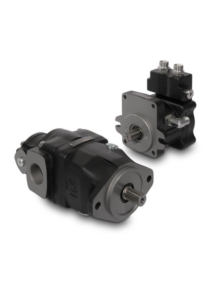 Pompe à pistons LFP48.45,5D-05S5-LGH/QC-N 06550025 Casappa