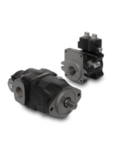 Pompe à pistons LFP48.45,5D-05S5-LGH/QC-R-N 06550022 Casappa