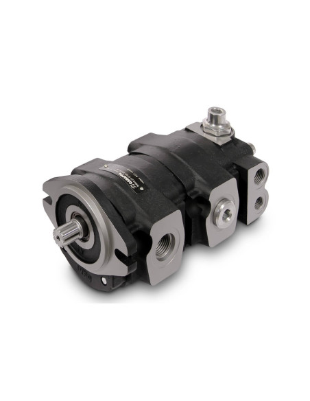 Pompe à engrenages PHP20.31,5/20.20/PLP10.6,3-LGD/GD/10.1-LGC/GC D/FS-L 6660002S Casappa