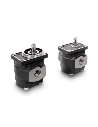 Pompe à engrenages PHP20.31,5/20.20/PLP10.6,3-LGD/GD/10.1-LGC/GC D/FS-L 6660002S Casappa