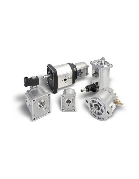 Moteur à engrenages PLM20.11,2R0-31S1-LOC/OC-N-EL-FSD020146H3 Casappa