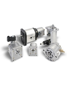 Moteur à engrenages PLM10.5R0-86S0-LGD/GD-N-EL00372324 Casappa