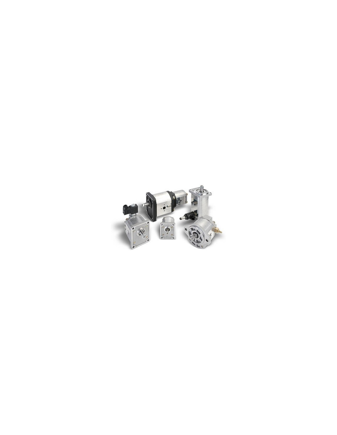 Pompe à engrenages PLP20.9S0-03S1-LEA/EA-N-EL FS 02004802 Casappa