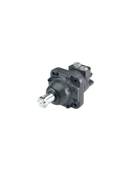 Moteur hydraulique TMKW 250 - 11045683 - Danfoss