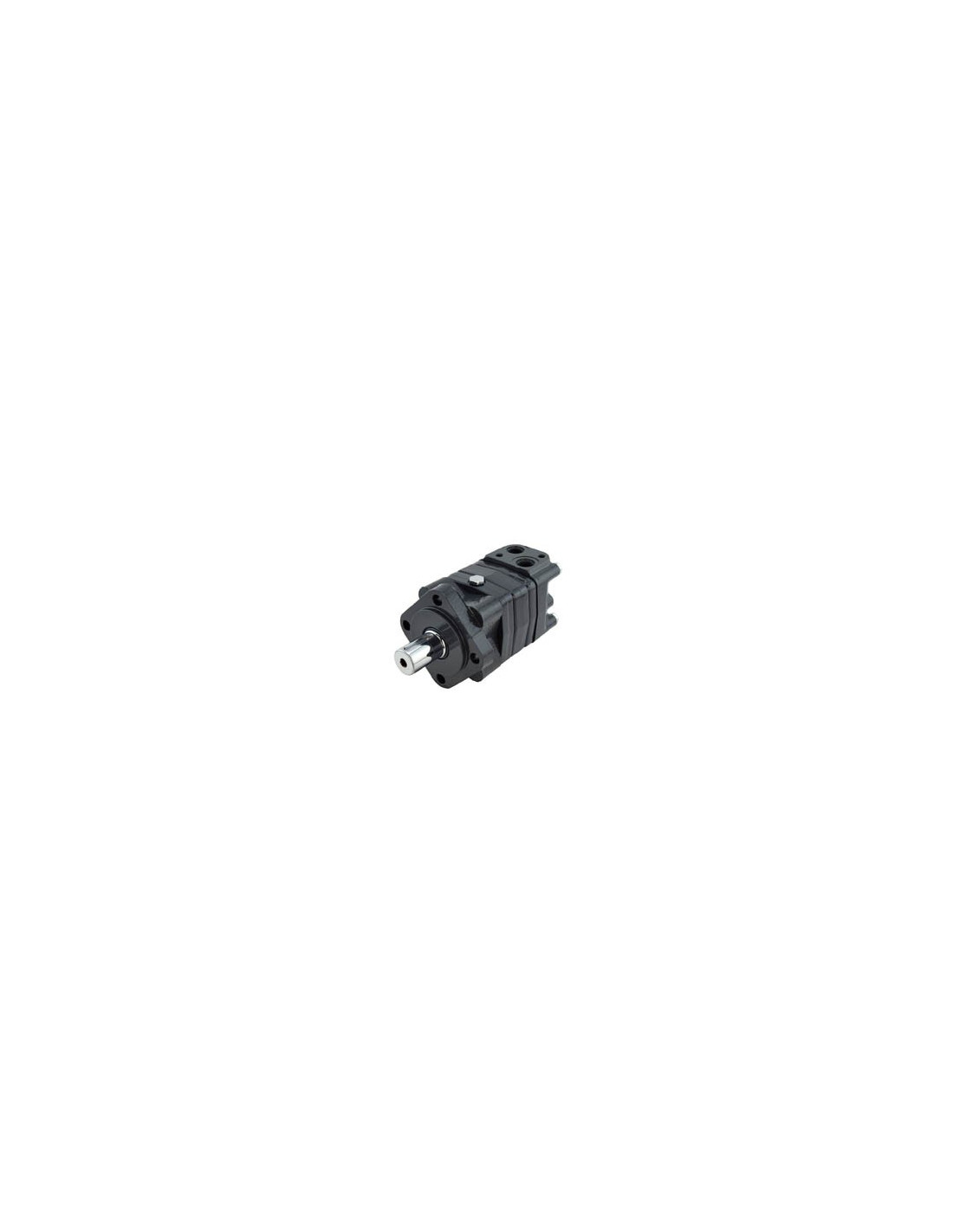 Moteur hydraulique OMSW 125 - 11082906 - Danfoss